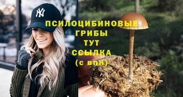 экстази Михайловск