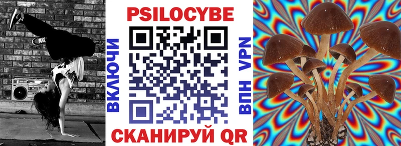 Галлюциногенные грибы Psilocybe  Холм 
